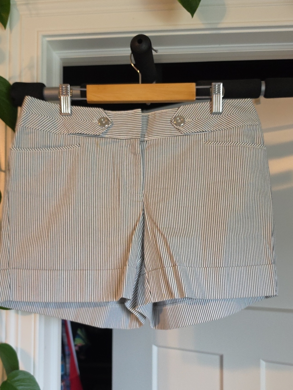 White House Black Market Black and White Pinstripe Shorts